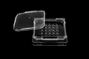 20-well dish w/lid, 4/pk