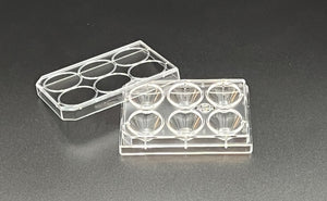 Solution™ Dish, 6 Well, w/Lid, Individually Wrapped, 10/pk