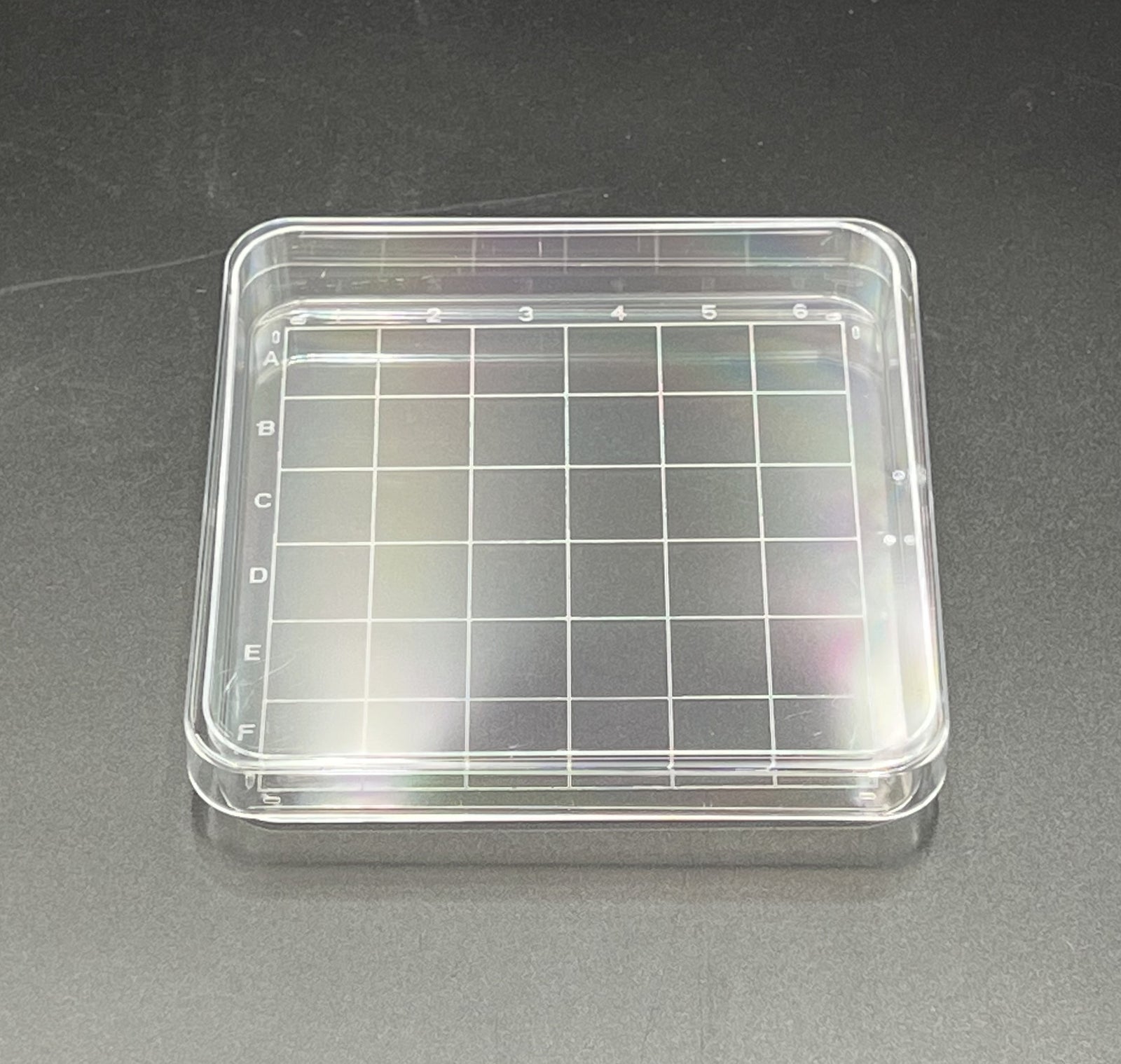 Dish w/Lid, Grid Search, Square, 100mm, Sterile, 10/pk