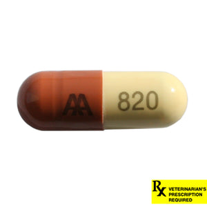 Rx Amoxicillin 250mg  x 1 Capsules