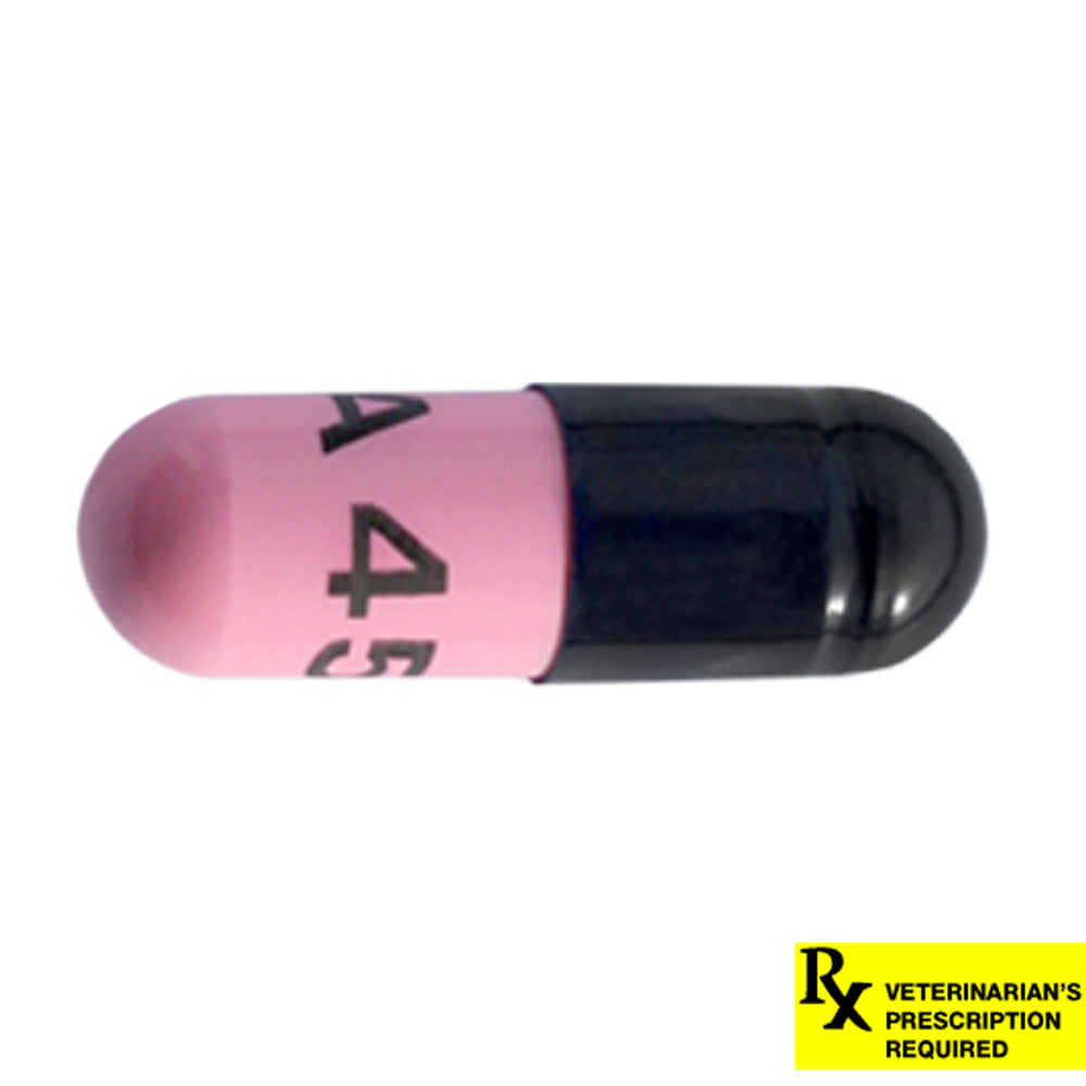 Where to buy amoxicillin 500mg where to buy amoxicillin 500mg