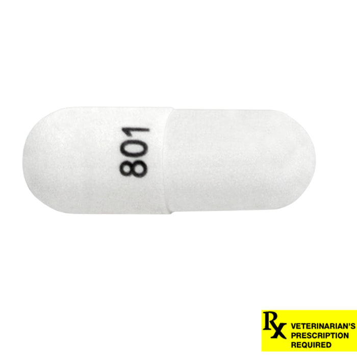 Rx Cephalexin 250mg x 1 Tablet