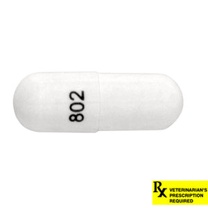 Rx Cephalexin 500mg x 1 capsule