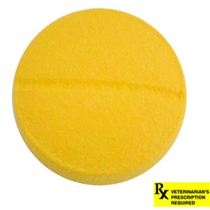 Rx Viceton (chloramphenicol) 250mg x 1 tablet, each