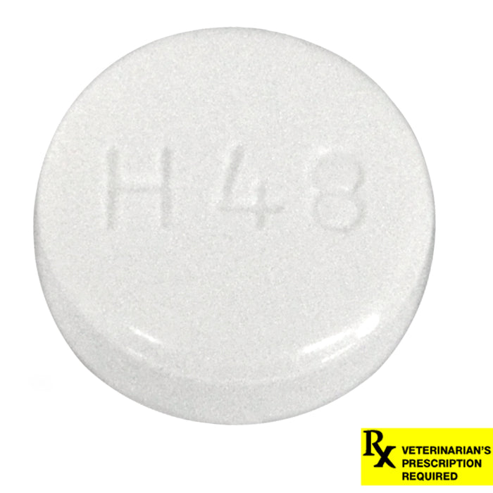 Rx SMZ-TMP 480 mg x 1 Single Tab