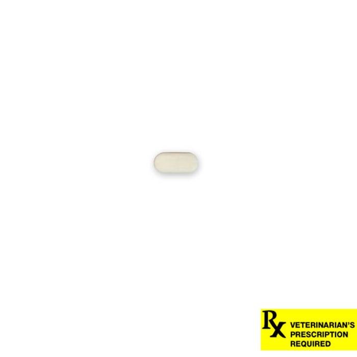 Rx Prednisolone (Prednistab) 5mg x 1 Tablet