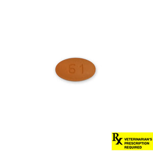 Rx CEFPODOXIME PROXETIL 100MG 1CT