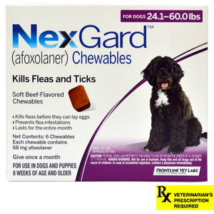 Rx NexGard, Dog 24.1-60lb, 6 month