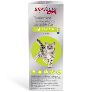 Rx Bravecto Plus Topical Cat 2.6-6.2 lbs