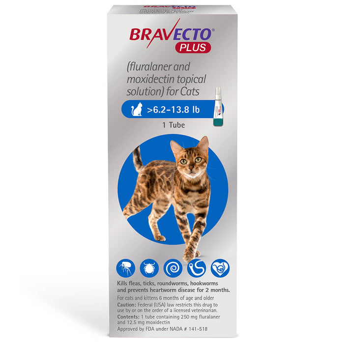 Rx Bravecto Plus Topical Cat 6.2-13.8 lbs