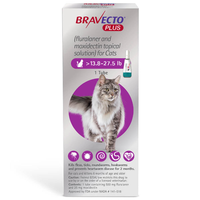 Rx Bravecto Plus Topical Cat 13.8-27.5 lbs