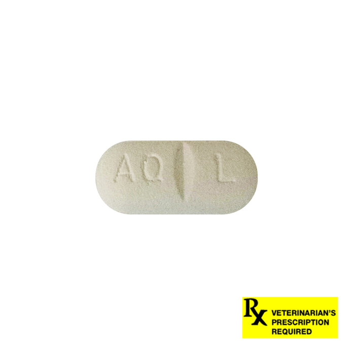 Rx Apoquel 16 mg, Single Tablet