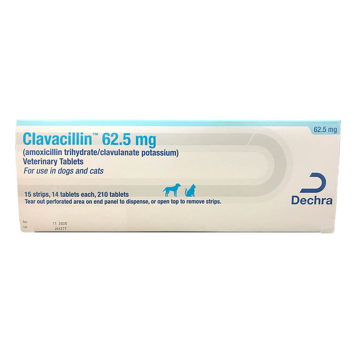 Rx Clavacillin, 62.5mg, 210ct