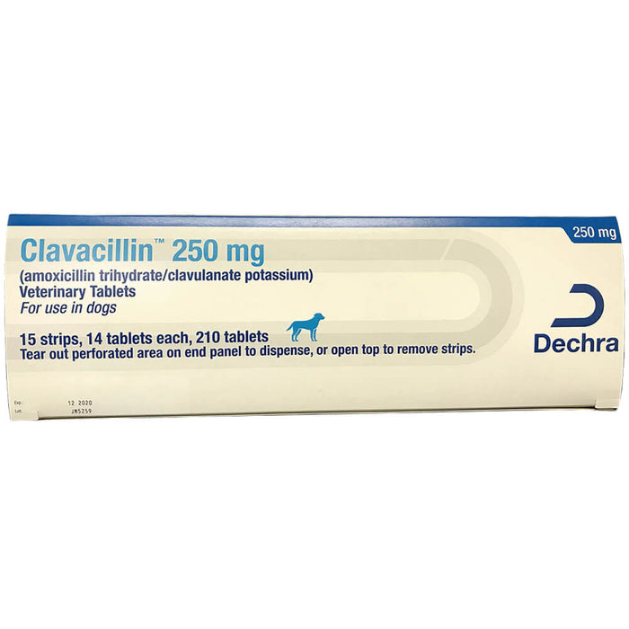 Rx Clavacillin (Amoxicillin Trihydrate/Clavulanate Potassium) Tablets, 250mg, 210ct