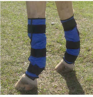 HyperKewl Horse Cooling Leg Wraps, Pair, Blue