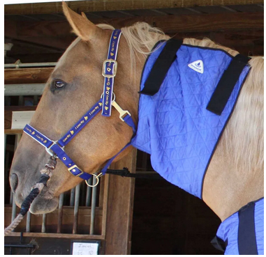 HyperKewl Horse Neck Cooler, Large, Blue