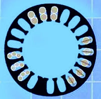 Freeze Control® Cryochamber, 20 Slot, Fast Mode, Each